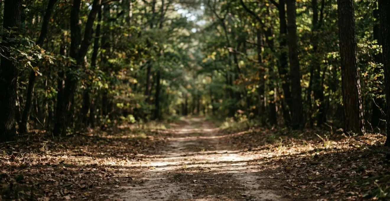 Chemin forestier privé avec stratégie de balisage défensif pour limiter la responsabilité du propriétaire
