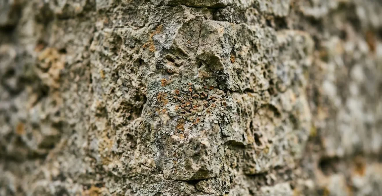 Représentation conceptuelle de l'amortissement d'un patrimoine architectural ancien