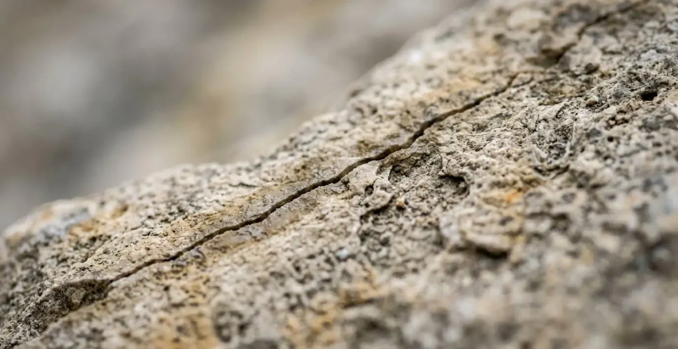 Macro-photographie d'une micro-fissure dans une pierre de tuffeau avec traces d'humidité